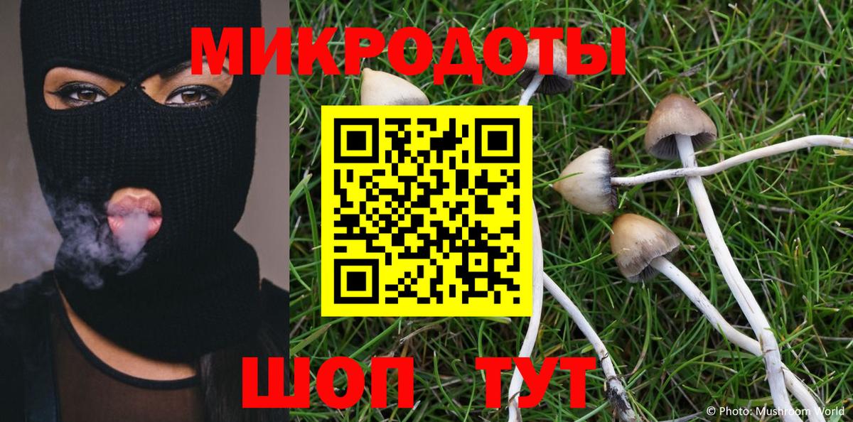 Псилоцибиновые грибы GOLDEN TEACHER  что такое наркотик  Будённовск  Псилоцибиновые грибы мицелий 