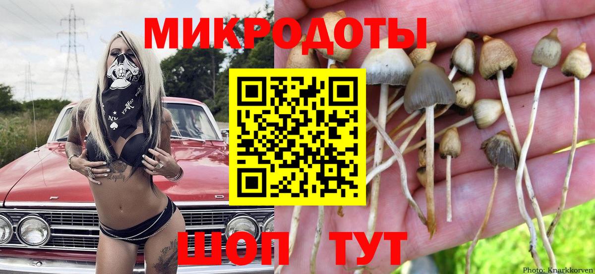 Галлюциногенные грибы прущие грибы  Вход с VPN  Будённовск 