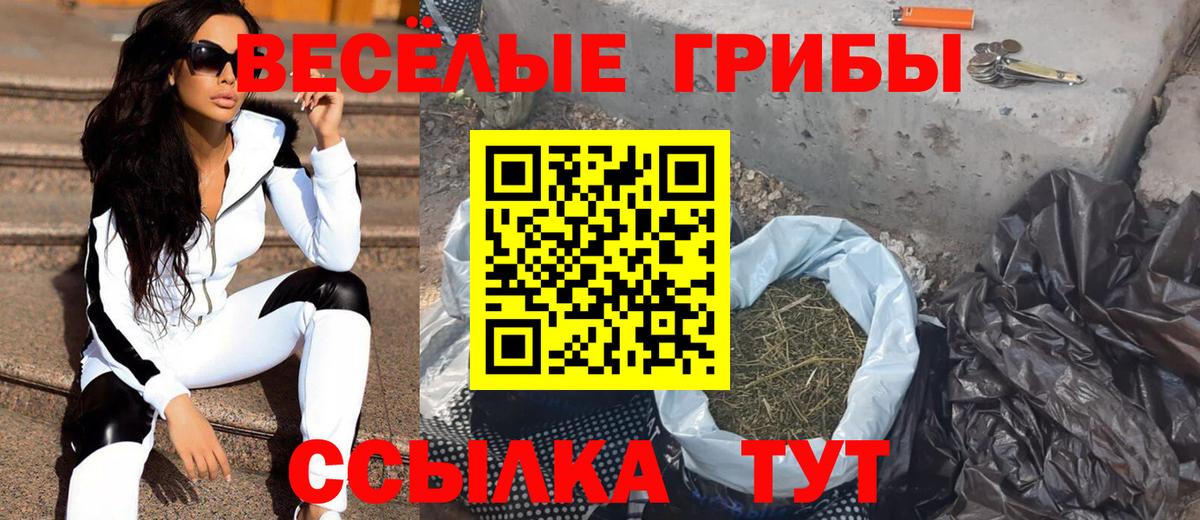 Меф  Кокаин  Будённовск  Гашик  A PVP  Марихуана  Масло ТГК  Плюхи  Вход с VPN 