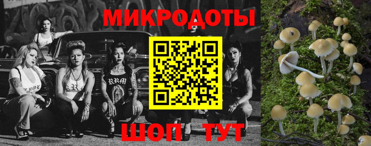 Псилоцибиновые грибы мухоморы Будённовск